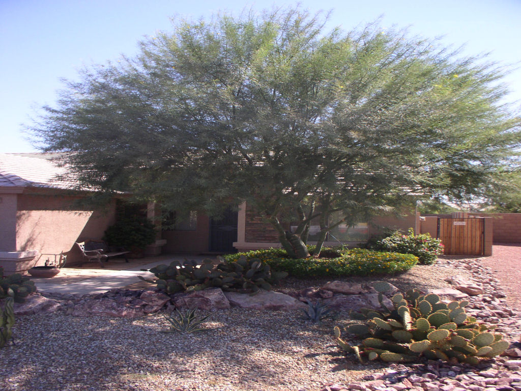 Irrigation System Installation in Arizona